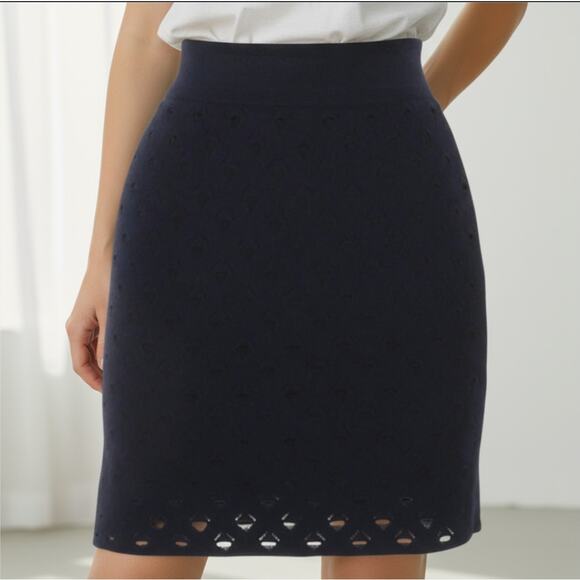 Rag & Bone XS Blue Skirt - Picture 1 of 7